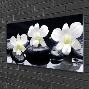 Quadro di vetro Pianta di orchidea 100x50 cm