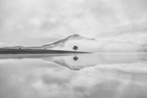 Fotografia Reflective trees on the lake, Thanh Thuy
