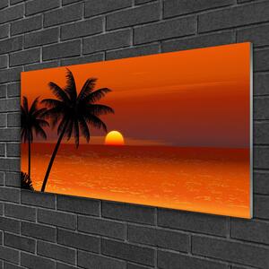 Quadro su vetro Palma mare sole paesaggio 100x50 cm