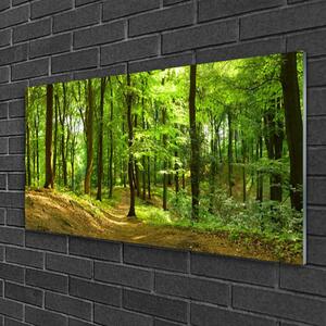 Quadro in vetro Percorso naturalistico della foresta 100x50 cm