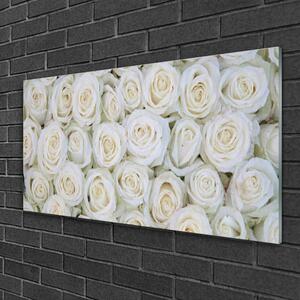 Quadro su vetro Rose Fiori Pianta 100x50 cm