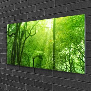 Quadro vetro Alberi della natura 100x50 cm