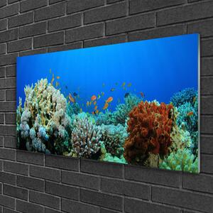Quadro in vetro Natura della barriera corallina 100x50 cm