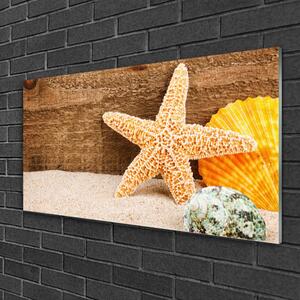 Quadro in vetro Arte delle stelle marine sulla sabbia 100x50 cm