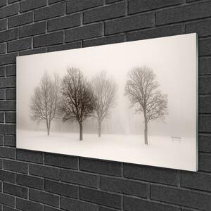 Quadro su vetro Neve Alberi Paesaggio 100x50 cm