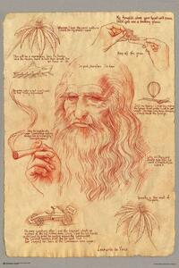 Posters, Stampe Leonardo Smoking Pot, (61 x 91.5 cm)