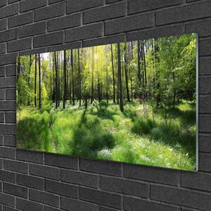 Quadro di vetro Foresta Erba Pianta Natura 100x50 cm