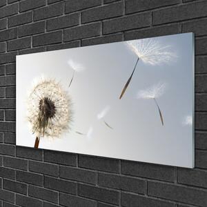 Quadro vetro Il soffiatore di fiori della natura 100x50 cm