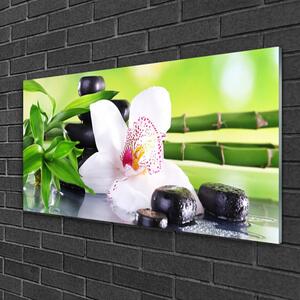 Quadro in vetro Foglie di bambù orchidea 100x50 cm