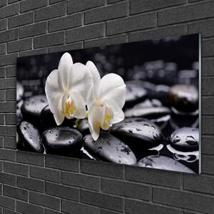 Quadro vetro Spa Zen White Orchid 100x50 cm