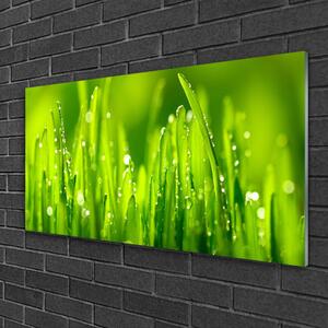 Quadro di vetro Gocce di rosa di erba verde 100x50 cm