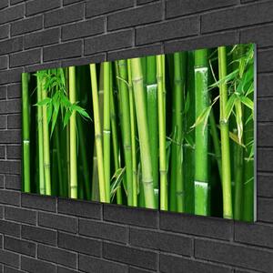 Quadro di vetro Foresta di bambù Natura bambù 100x50 cm