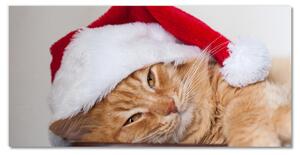 Quadro acrilico Cappello di Babbo Natale gatto 100x50 cm 2 appendini