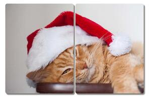 Tagliere in vetro Cappello di Babbo Natale gatto 60x52 cm