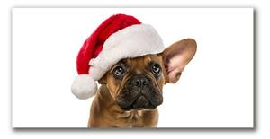 Quadro su tela Bulldog cane di Natale 100x50 cm