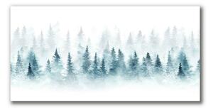 Foto quadro su tela Foresta dell'albero di Natale 100x50 cm