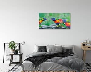 Quadro in vetro Albero dei pappagalli colorato 100x50 cm