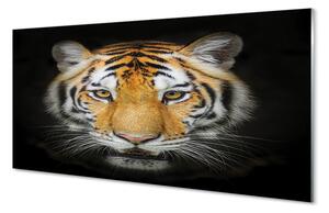 Quadro in vetro Tigre 100x50 cm
