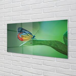 Quadro in vetro Foglia di farfalla colorata 100x50 cm
