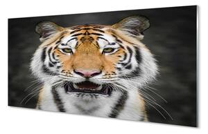 Quadro in vetro Tigre 100x50 cm