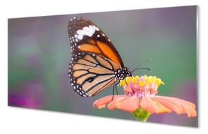 Quadro in vetro Fiore di farfalla colorato 100x50 cm