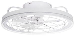 Lampadario Ventilatore da soffitto 40W illuminazione Led regolabile con telecomando Aigostar