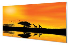 Quadro in vetro Giraffe lago albero ovest 100x50 cm