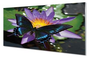 Quadro vetro Fiore di farfalla 100x50 cm