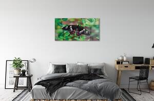 Quadro in vetro Farfalla color foglia 100x50 cm