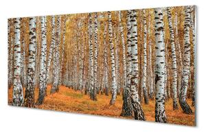 Quadro su vetro Alberi d'autunno 100x50 cm