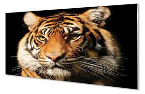 Quadro vetro Tigre 100x50 cm
