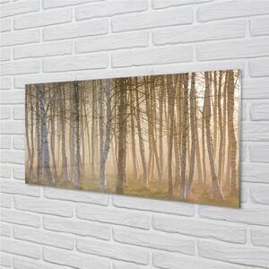 Quadro in vetro Alberi della foresta all'alba 100x50 cm