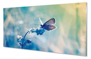 Quadro vetro Farfalla colorata 100x50 cm