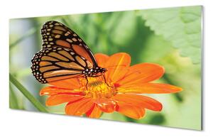 Quadro vetro Fiore di farfalla colorato 100x50 cm