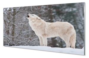 Quadro in vetro Inverno nella foresta del lupo 100x50 cm