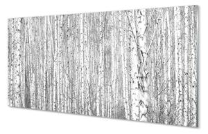 Quadro in vetro Foresta di alberi in bianco e nero 100x50 cm