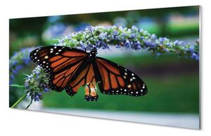 Quadro vetro Farfalla su un fiore 100x50 cm