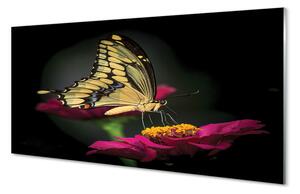 Quadro in vetro Farfalla su un fiore 100x50 cm