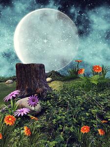 Illustrazione Night meadow with flowers, FairytaleDesign