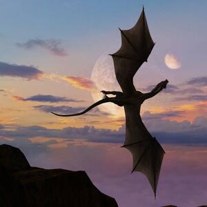 Illustrazione Illustration of single horned dragon soaring, BWFolsom