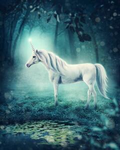 Illustrazione Unicorn, egal