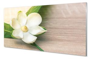 Quadro su vetro Magnolia bianca 100x50 cm 2 appendini