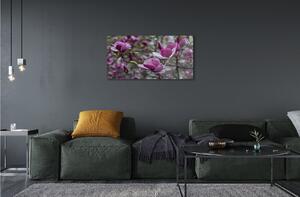 Quadro vetro Magnolia viola 100x50 cm