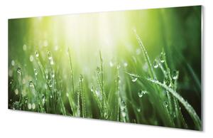 Quadro su vetro Gocce d'erba sole 100x50 cm