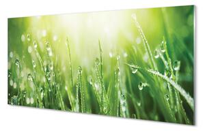 Quadro vetro Gocce d'erba sole 100x50 cm