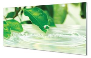Quadro in vetro Gocce di foglie acqua 100x50 cm