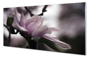 Quadro su vetro acrilico Magnolia 100x50 cm 2 appendini