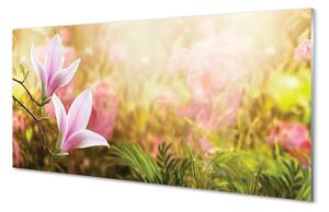 Quadro su vetro Magnolia sole 100x50 cm 2 appendini