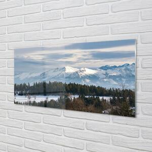 Quadro su vetro Montagne neve invernale 100x50 cm