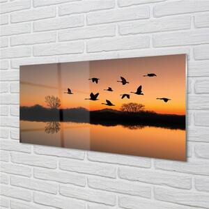 Quadro in vetro Uccelli volanti al tramonto 100x50 cm